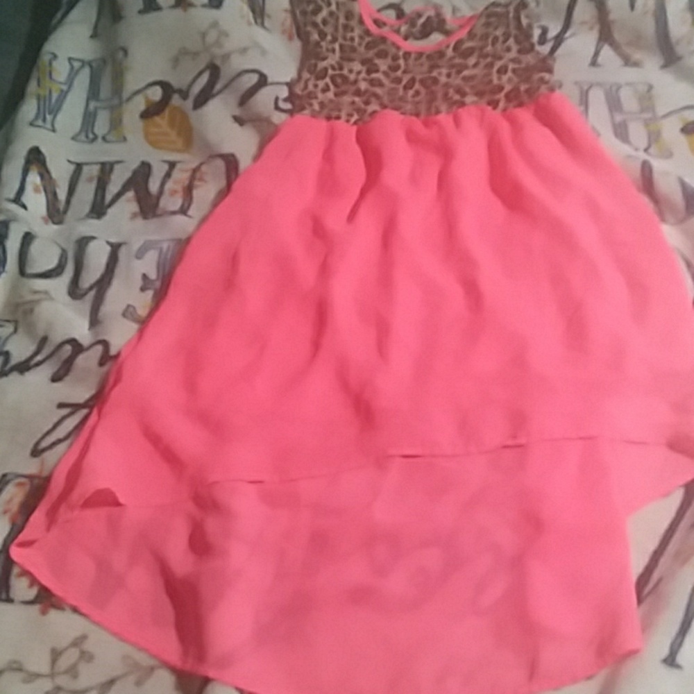 Cheetah and pink dress